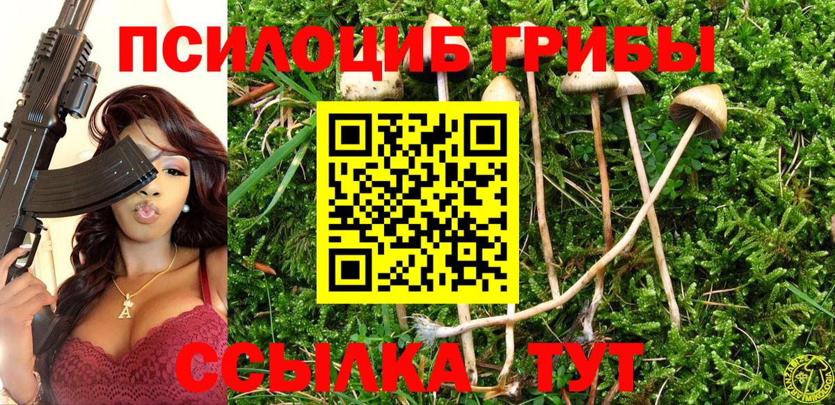 Галлюциногенные грибы мухоморы Ставрополь