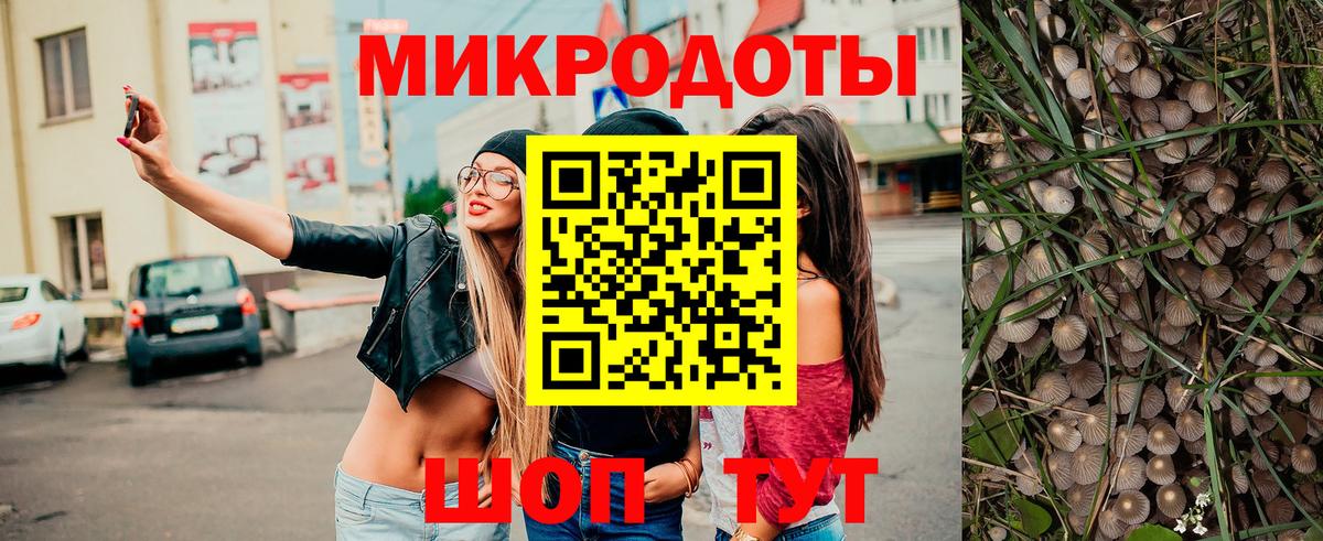 Псилоцибиновые грибы мицелий  Вход с VPN  как найти закладки  Ставрополь 